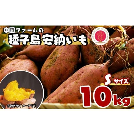 ふるさと納税 野菜類 サツマイモ 鹿児島県 西之表市 種子島 中園ファーム 安納いも ( 生芋 ) ...