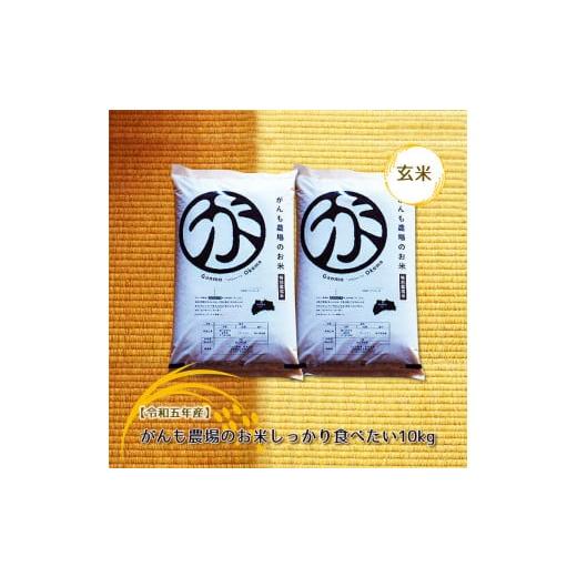 ふるさと納税 長野県 佐久市 【令和五年産】がんも農場のお米しっかり食べたい10kg（玄米）【出荷開...