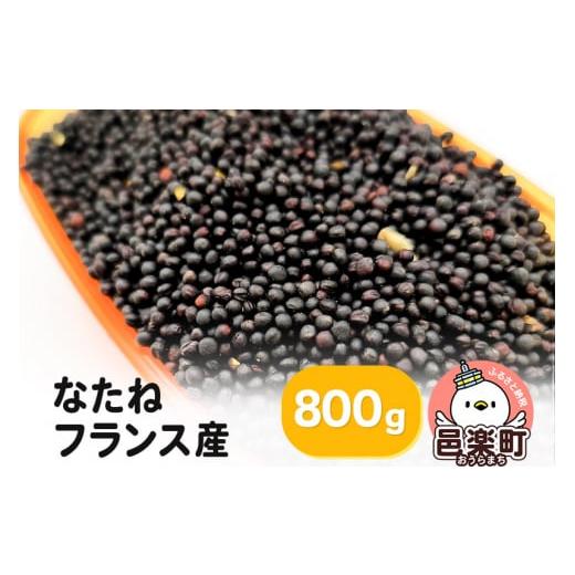 ふるさと納税 群馬県 邑楽町 なたね フランス産 800g×1袋 サイトウ・コーポレーション 飼料