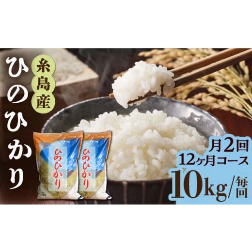 ふるさと納税 福岡県 糸島市 【月2回お届け】【全24回定期便】糸島産 ひのひかり 10kg 12ヶ...