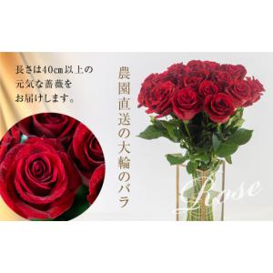 ふるさと納税 雑貨・日用品 花 愛知県 田原市...の詳細画像3