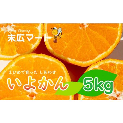 ふるさと納税 愛媛県 松山市 【 先行予約 】 伊予柑 いよかん 約 5kg 愛媛 興居島 柑橘 糖...