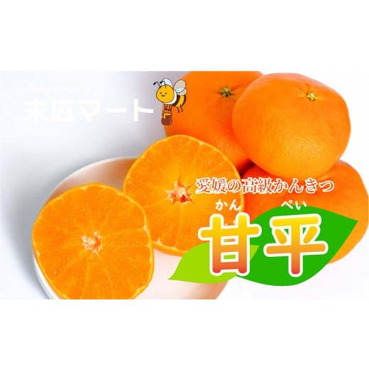 ふるさと納税 愛媛県 松山市 【 先行予約 】甘平 かんぺい 約 3kg 愛媛 中島 オリジナル 柑...