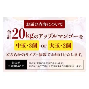 ふるさと納税 マンゴー 沖縄県 糸満市 先行予...の詳細画像3