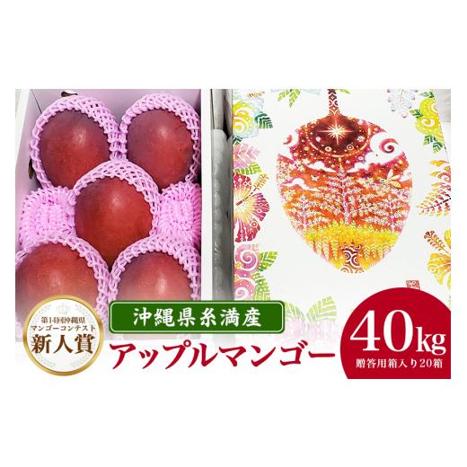 ふるさと納税 沖縄県 糸満市 【2024年発送】沖縄県糸満産の「濃厚アップルマンゴー」40kg！(2...
