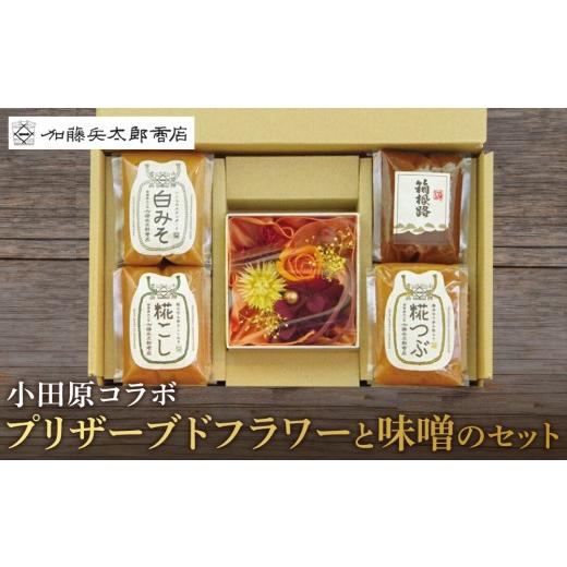 ふるさと納税 味噌 米味噌 神奈川県 小田原市 小田原コラボ　プリザーブドフラワーと味噌のセット み...