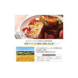 ふるさと納税 パン 京都府 亀岡市 パン 詰め...の詳細画像5