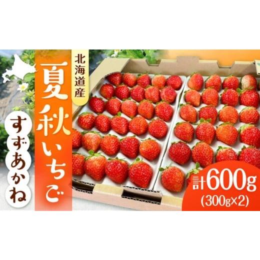 ふるさと納税 いちご 北海道 厚真町  先行予約 2026年7月以降順次発送 夏秋イチゴ「すずあかね...