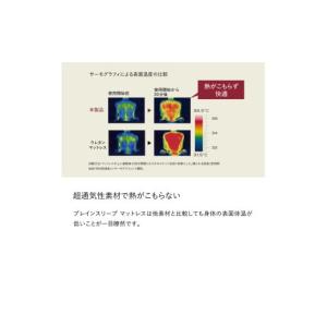 ふるさと納税 タオル・寝具 敷布団 大分県 玖...の詳細画像5