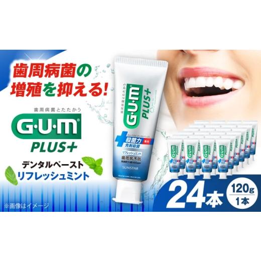 ふるさと納税 雑貨・日用品 大阪府 高槻市 GUM ガム・プラス デンタルペースト 120g×24本...
