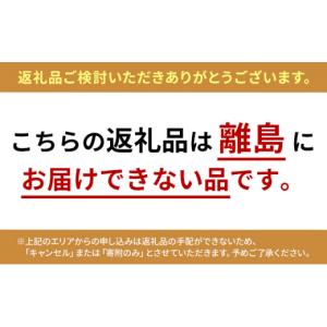 ふるさと納税 電化製品 宮城県 大河原町 高圧...の詳細画像2
