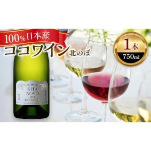 ザ・プレミアム・モルツ BPE10S 350ml×38本 お中元≪サントリー≫ザ・プレミアム・モルツ ビールセット