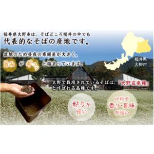 ふるさと納税 そば 生・半生めん 福井県 大野...の詳細画像5