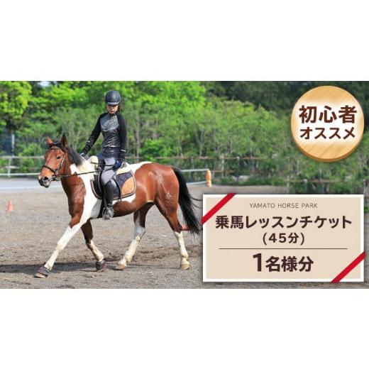 ふるさと納税 茨城県 桜川市 乗馬レッスン１回コース（45分） 乗馬 トレッキング 体験チケット ア...