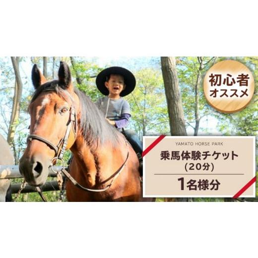 ふるさと納税 茨城県 桜川市 乗馬体験１回コース（20分）  乗馬 トレッキング 体験チケット アウ...