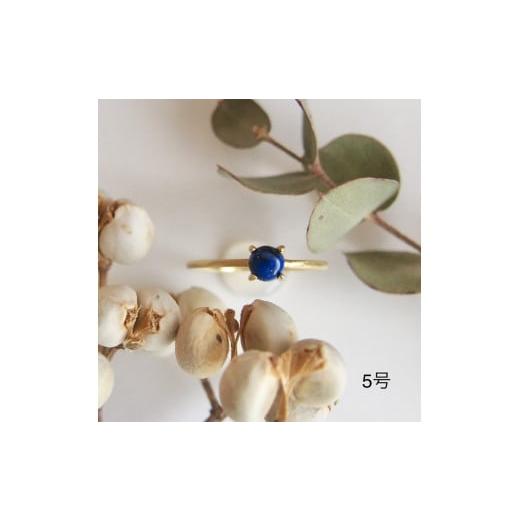 ふるさと納税 アクセサリー リング 奈良県 田原本町 5号 ラピスラズリ リング (Silver92...