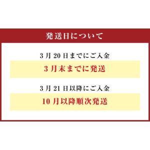 ふるさと納税 生き物 大分県 豊後大野市 16...の詳細画像4