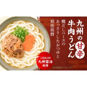 ふるさと納税 うどん 生・半生めん 福岡県 豊...の詳細画像2