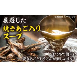 ふるさと納税 うどん 生・半生めん 福岡県 豊...の詳細画像3
