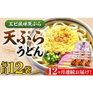 ふるさと納税 うどん 生・半生めん 福岡県 豊前市 全12回定期便 天ぷら うどん 12食《豊前市》 富士菊 VAI057 うどん 天ぷらうどん 天ぷら 麺 麺類 福岡 豊前