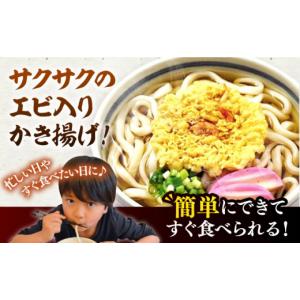 ふるさと納税 うどん 生・半生めん 福岡県 豊...の詳細画像2