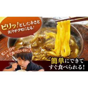 ふるさと納税 うどん 生・半生めん 福岡県 豊...の詳細画像2