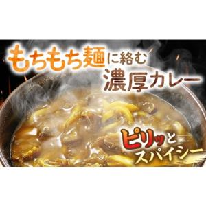 ふるさと納税 うどん 生・半生めん 福岡県 豊...の詳細画像2