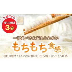 ふるさと納税 うどん 生・半生めん 福岡県 豊...の詳細画像3