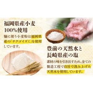 ふるさと納税 うどん 生・半生めん 福岡県 豊...の詳細画像5