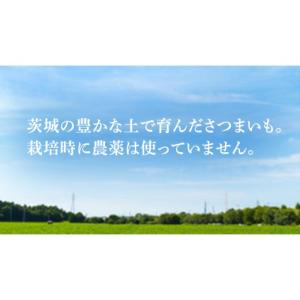 ふるさと納税 和菓子 落雁・干菓子 茨城県 城...の詳細画像3