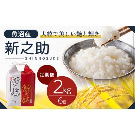 ふるさと納税 米 新潟県 十日町市 令和7年産 定期便 魚沼産 新之助 精米2kg×6回 お米 こめ...