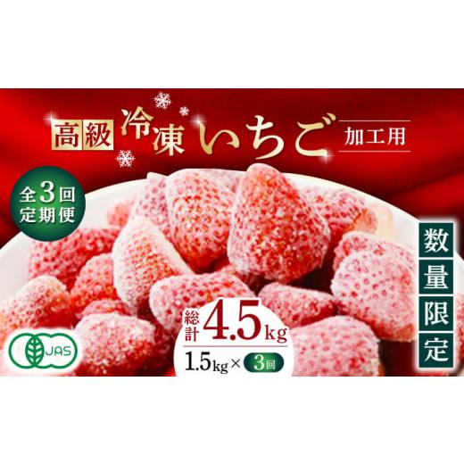 ふるさと納税 熊本県 山鹿市 【3回定期便】【数量限定】高級 冷凍  いちご 加工用 約1.5kg【...