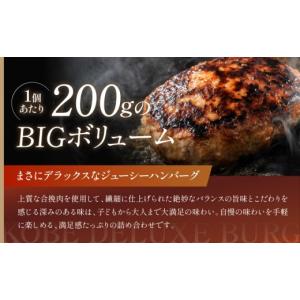 ふるさと納税 肉 ハンバーグ 兵庫県 神戸市 ...の詳細画像3