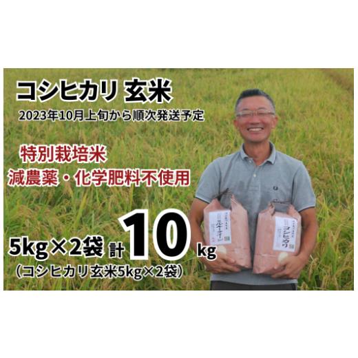 ふるさと納税 埼玉県 川島町 特別栽培米 コシヒカリ 玄米 10kg （5kg×2袋） 【2023年...