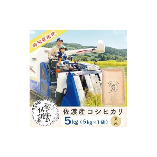 ふるさと納税 新潟県 佐渡市 ”ベストファーマー認証受賞歴”  佐渡島産コシヒカリ 玄米5Kg×1袋...