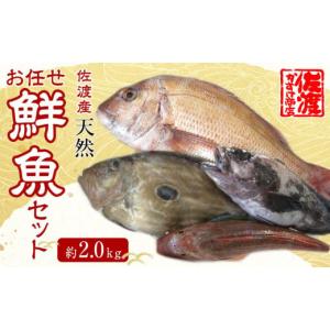 ふるさと納税 新潟県 佐渡市 佐渡産 天然お任せ鮮魚セット 2kg