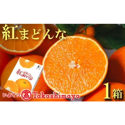 ふるさと納税 みかん・柑橘類 愛媛県 松山市  2025年12月から発送 紅まどんな 約2.7kg ...