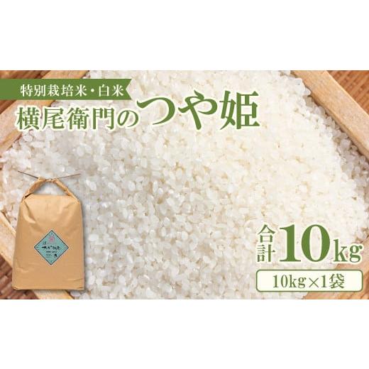 ふるさと納税 米 つや姫 島根県 益田市 横尾衛門のつや姫 白米 10kg 新米 先行予約 米 お米...