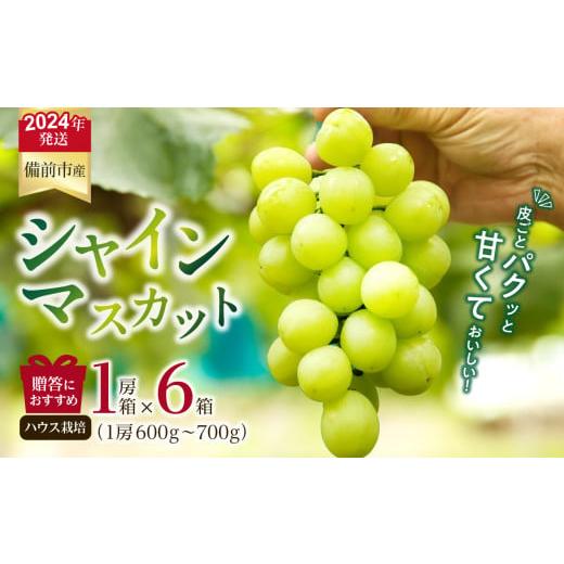 ふるさと納税 岡山県 備前市 【2024年発送】岡山県備前市産　樹上完熟「シャインマスカット」（ハウ...