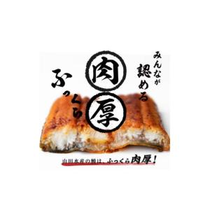 ふるさと納税 うなぎ 鹿児島県 志布志市 志布...の詳細画像3