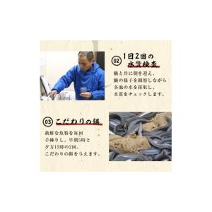 ふるさと納税 うなぎ 鹿児島県 志布志市 志布...の詳細画像5