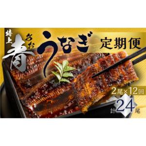 ふるさと納税 うなぎ 愛知県 田原市 厳選 高級...の商品画像