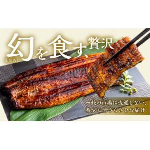 ふるさと納税 うなぎ 愛知県 田原市 厳選 高...の詳細画像3