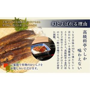 ふるさと納税 うなぎ 愛知県 田原市 厳選 高...の詳細画像5