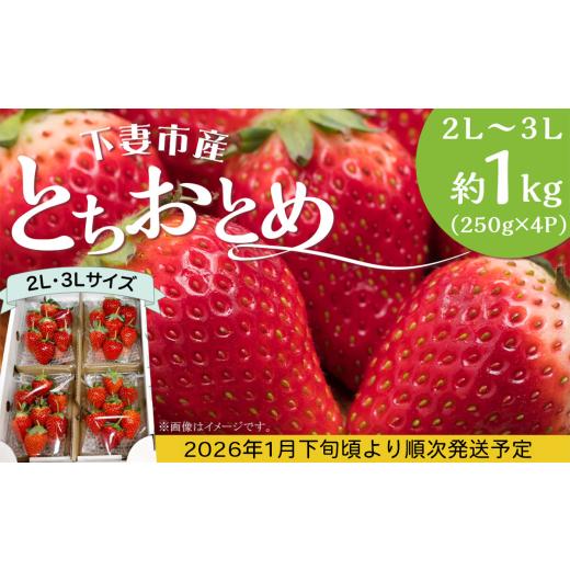 ふるさと納税 いちご 茨城県 下妻市  先行予約 とちおとめ 2L 〜 3L 約1kg ( 250g...