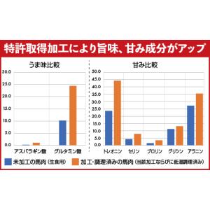 ふるさと納税 馬肉 熊本県 甲佐町 馬肉 赤身...の詳細画像5