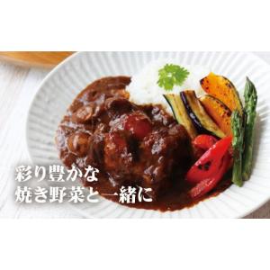ふるさと納税 加工品等 レトルト 長崎県 佐世...の詳細画像5