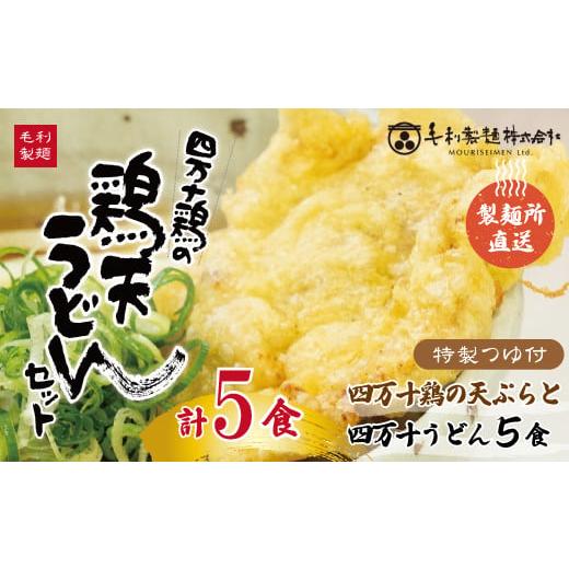 ふるさと納税 高知県 四万十市 R5-798．四万十うどんと四万十鶏の天ぷら5食セット