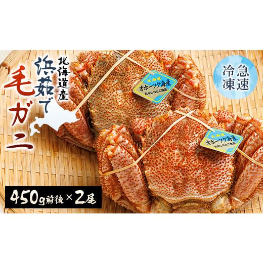 ふるさと納税 カニ 毛ガニ 北海道 斜里町 北海道産　浜茹で毛ガニ　450g前後×2尾_毛ガニ 毛蟹...
