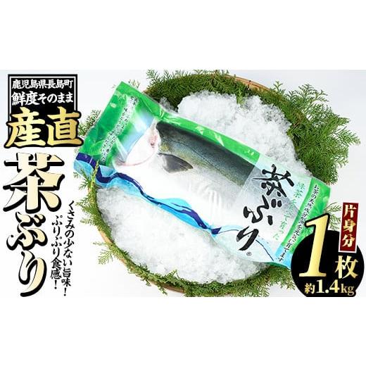 ふるさと納税 鹿児島県 長島町 茶ぶり フィレ (約1.4kg×1枚)【ウスイ】usui-1130